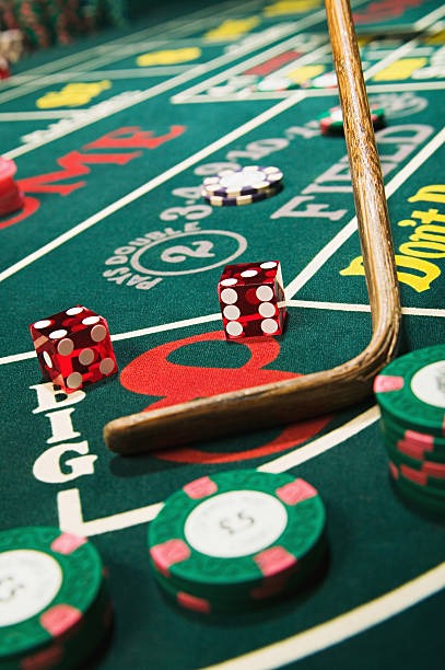 Platform statistics dashboard showing coverage metrics